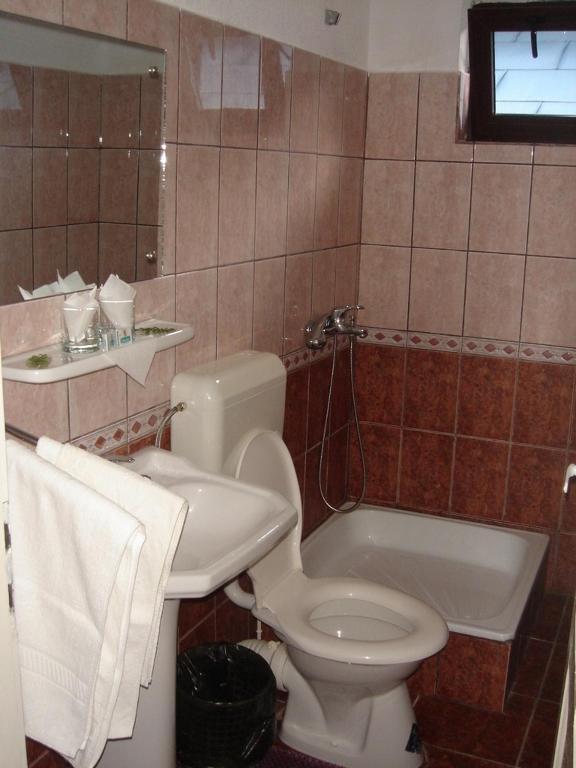 Vila Cristina Ceahlau Bilik gambar